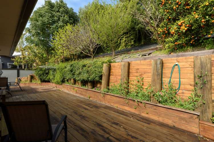 10 Harkin Close Bethlehem_24