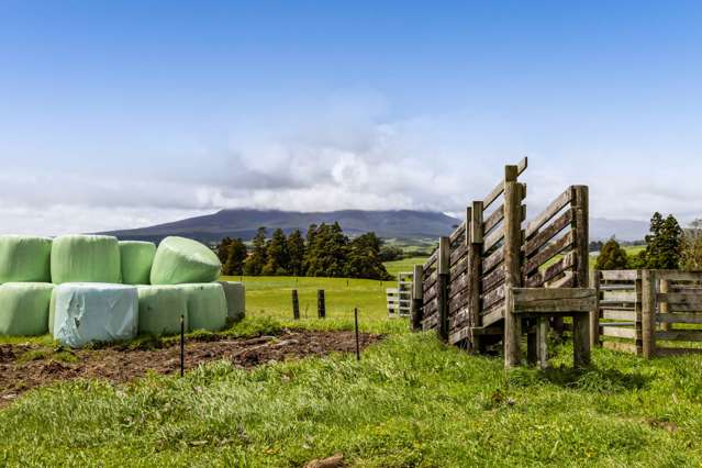 165 Oxford Road Okato_3