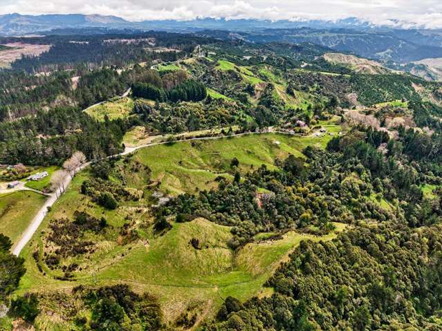 3086 Tuahu Road Tauwhareparae_2