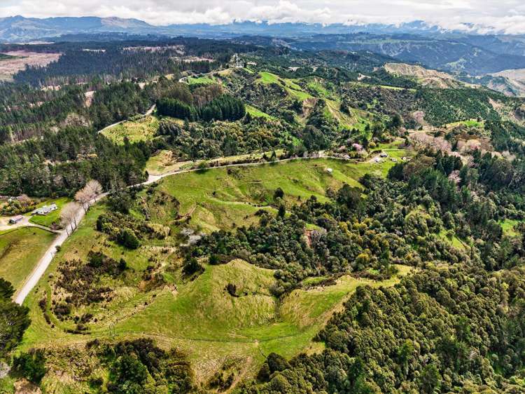 3086 Tuahu Road Tauwhareparae_2