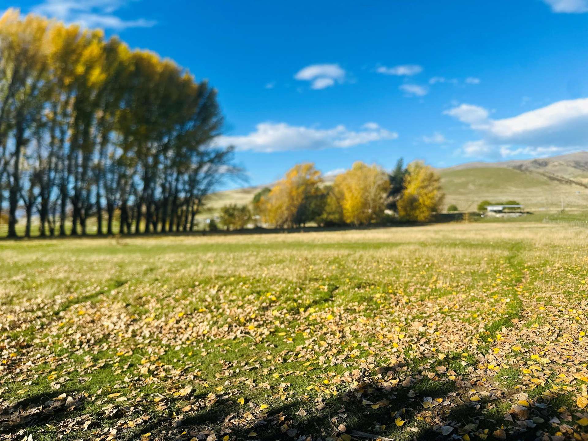 779 Ardgour Road Tarras_0