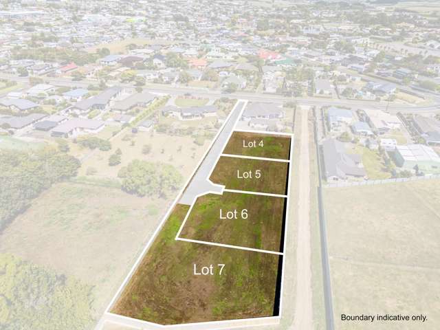 38 Fantham Street Hawera_2