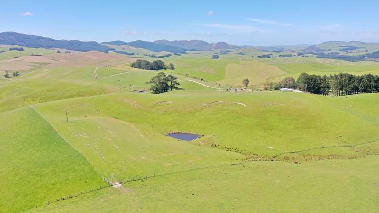 207 Mangatuna Road Weber_12