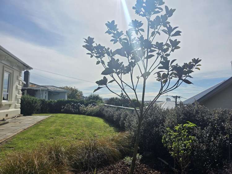 10A Wharfe Street South Hill_20