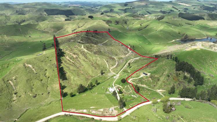 222 North Road Mauriceville_19