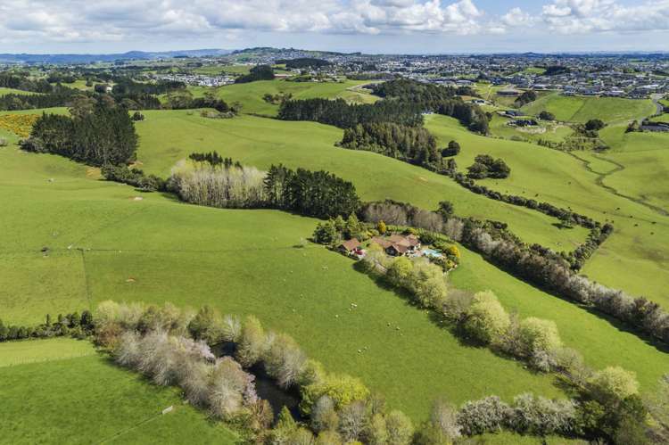 Runciman Road Pukekohe East_7