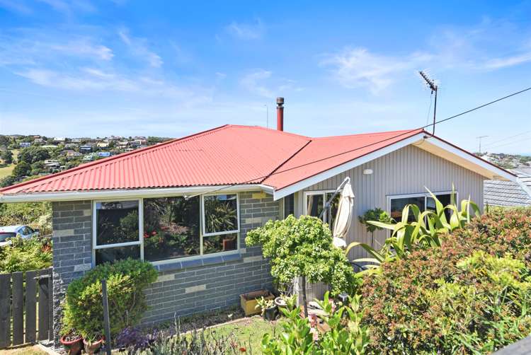 50 Archibald Street Waverley_20