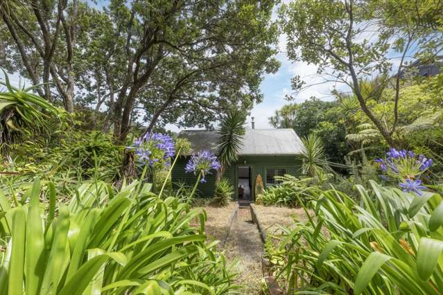 58 Seaview Road Piha_4