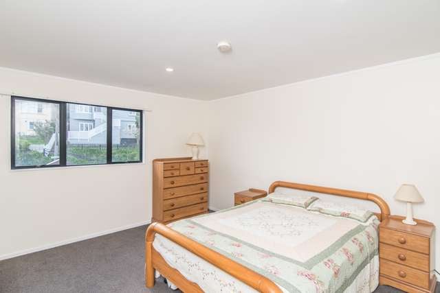 1b Arawa Road Hataitai_4