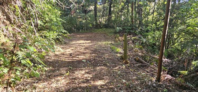 1204 No 3 Road Te Puke_17