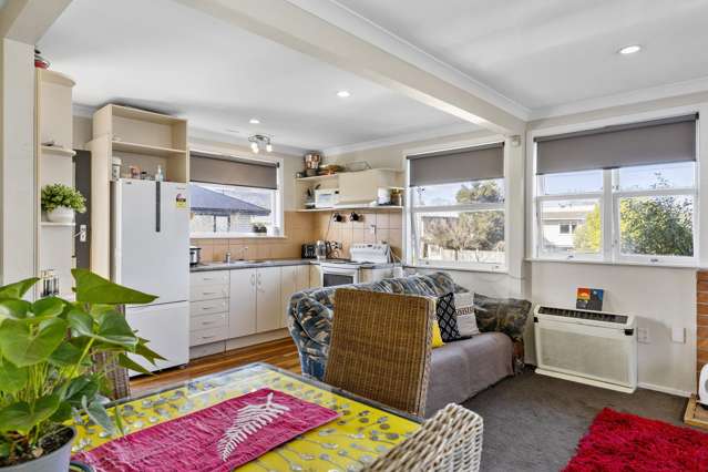 18 Waitahanui Avenue Taupo_4