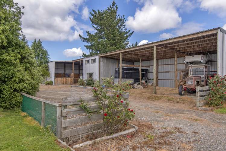 561 Johns Road Fernside_18