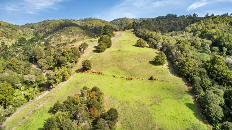 55 Russell Road Kensington_5