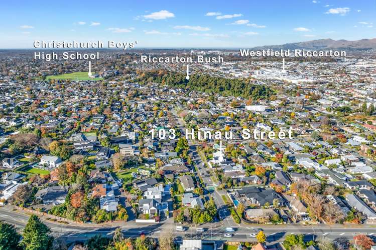 103 Hinau Street Fendalton_24