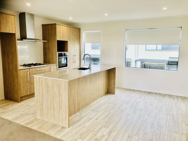 29 Bonnette Road Flat Bush_4