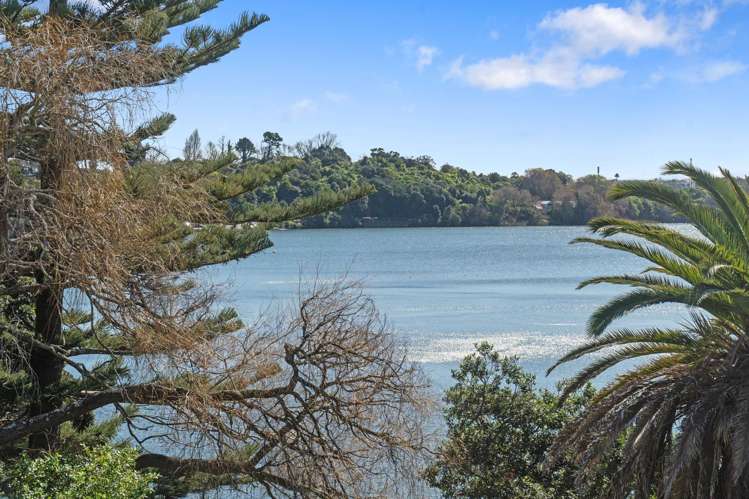 14 Darwin Lane Remuera_19