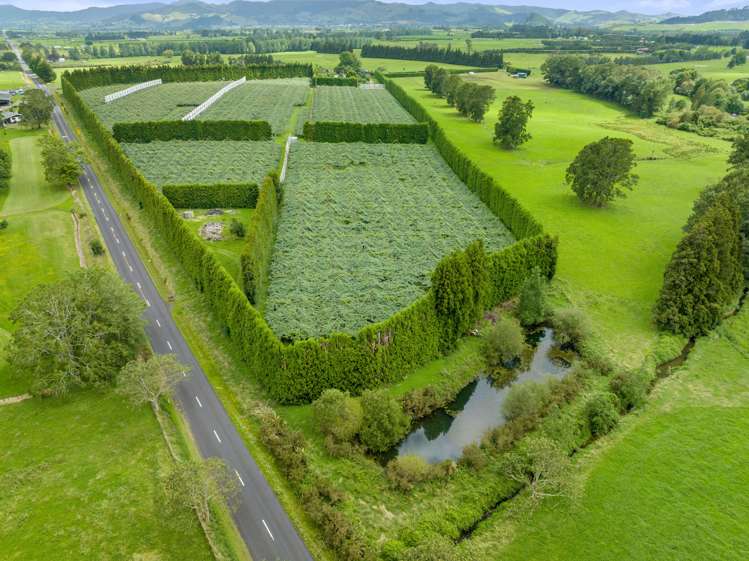 79 Woodlands Road Waihi Beach_10