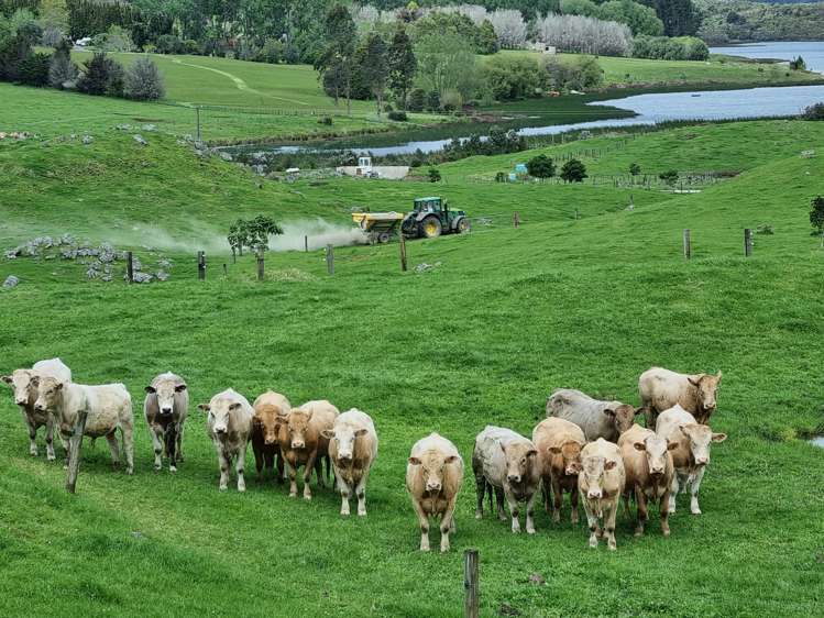 267 Ludbrook Road Pakaraka_5