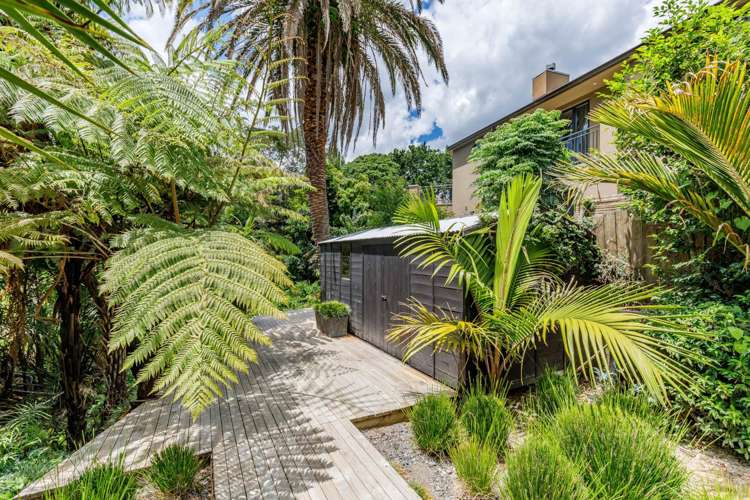 2/42a Mahoe Avenue Remuera_14