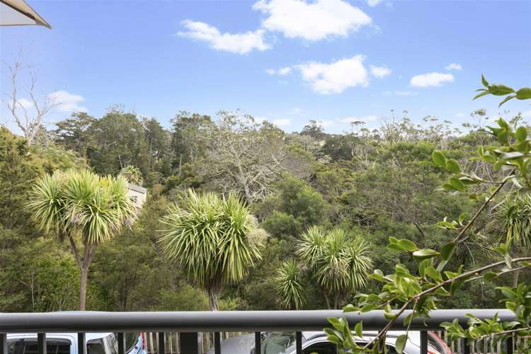 25/28 The Avenue Albany_5