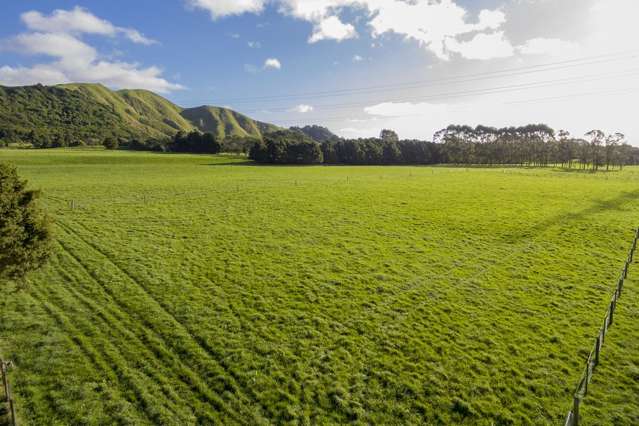 583 Otaki Gorge Road Otaki_4