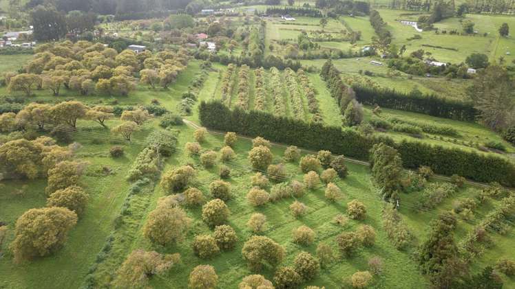 405 Tara Road Mangawhai_10