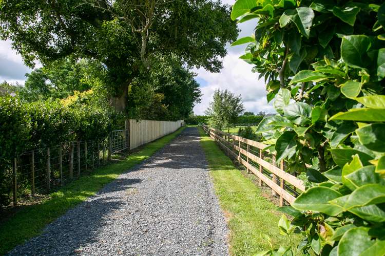 1/31 Forrest Road Cambridge_6