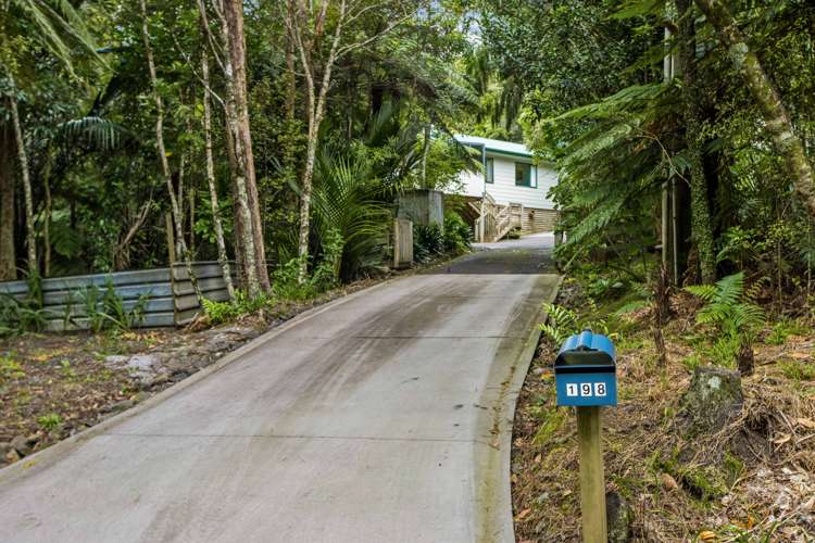 198 Mountain Road Henderson Valley_30