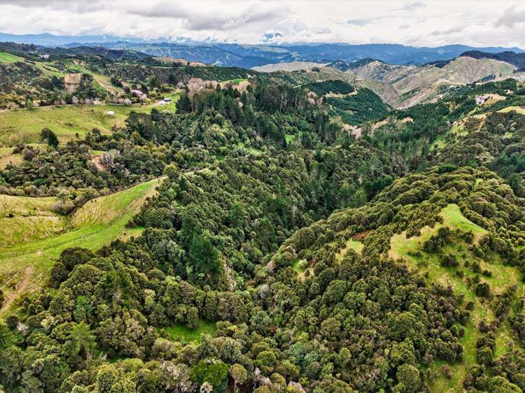 3086 Tuahu Road Tauwhareparae_7