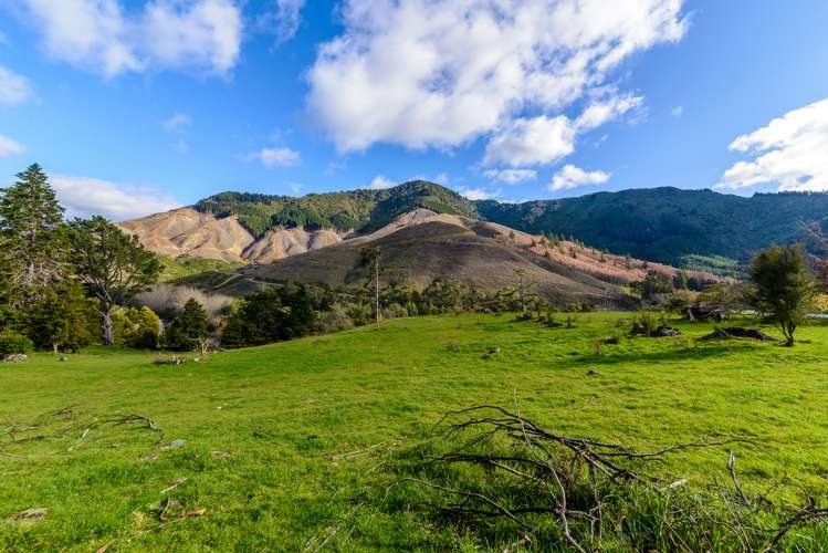 233 Wakamarina Road Havelock_15