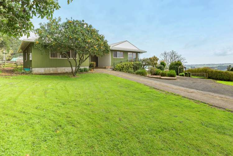 17 Shipherd Road Puni_19