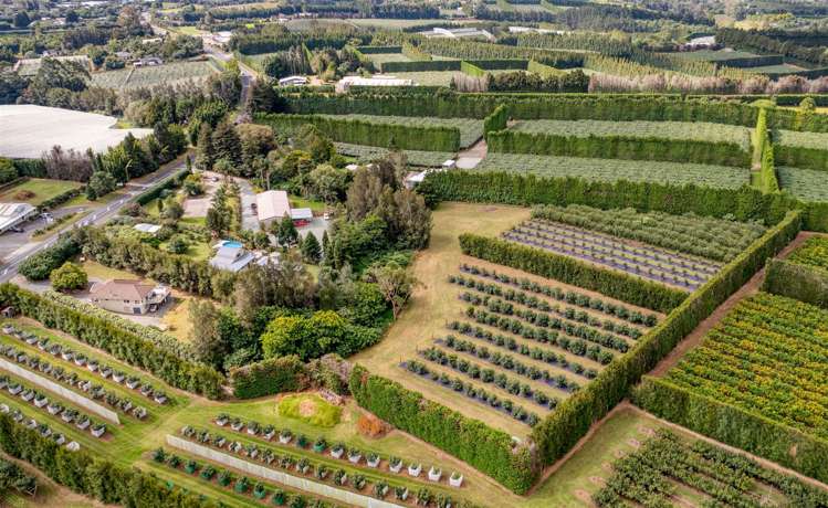 565 Kerikeri Road Kerikeri_9