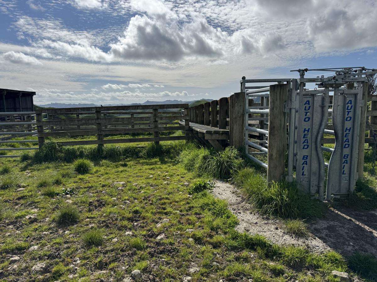 268a Tiriraukawa Road_1