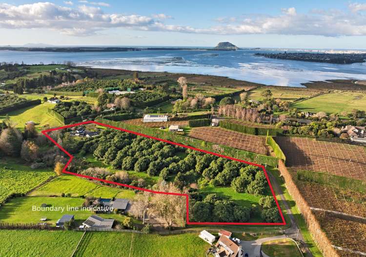 108 Lochhead Road Te Puna_18