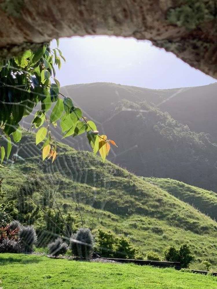 128d Otonga Valley Road Raglan_18