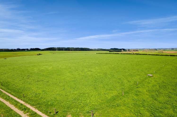 0n Mountain Road Normanby_6