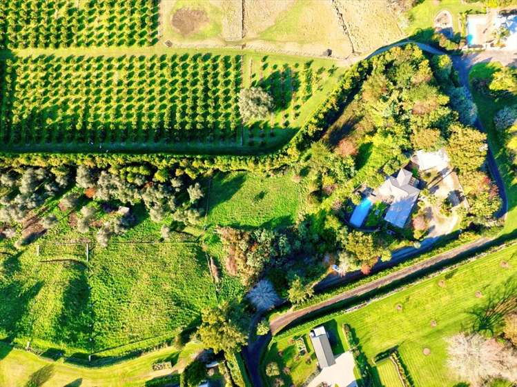 176I Snodgrass Road Te Puna_26
