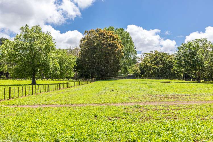 122 Campbell Road One Tree Hill_21