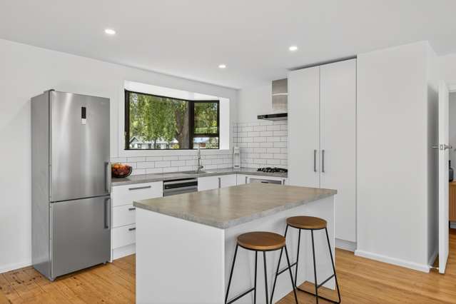 25 Waipara Street Cracroft_4