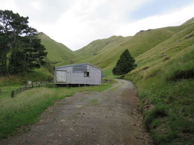 629 Tamaki East Road Rangitikei Surrounds_2