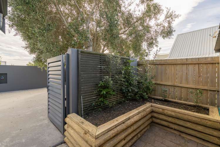 134 Puka Crescent Matarangi_21