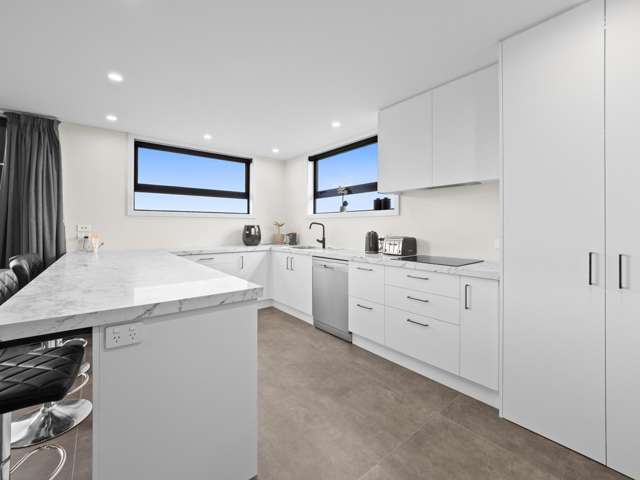 45 Ashbury Drive Tinwald_3