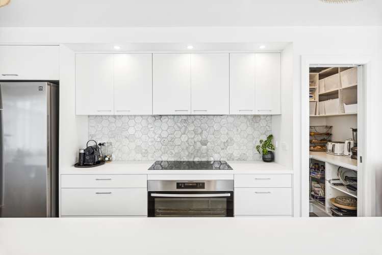 56 Salisbury Street Levin_8