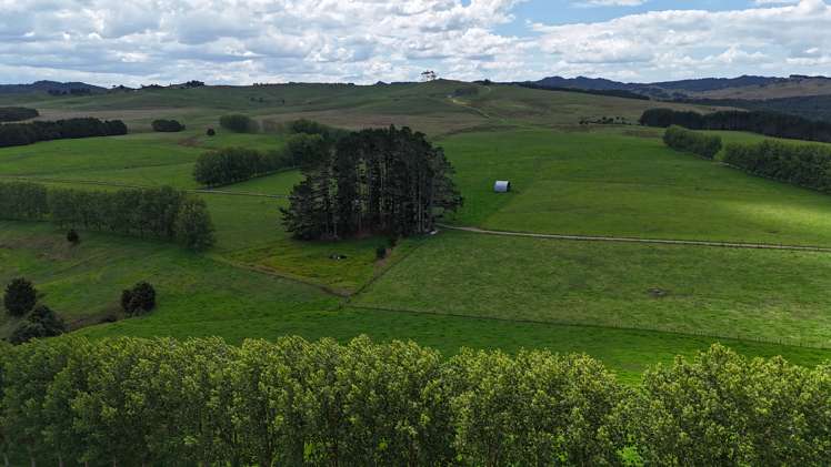 374 Rakauwahia Road Taheke_9