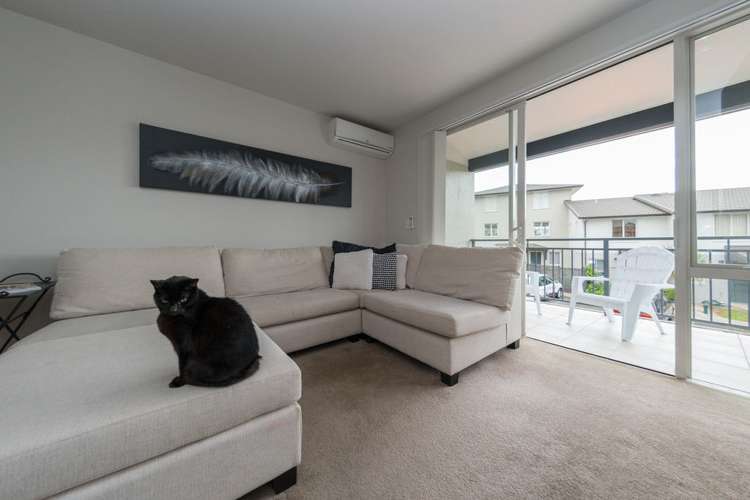 56 Haven Drive East Tamaki_12