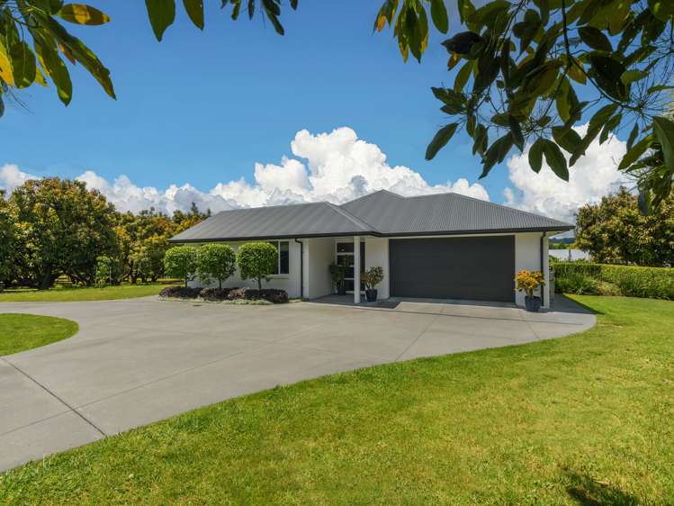 383 Old Highway Whakamarama_6