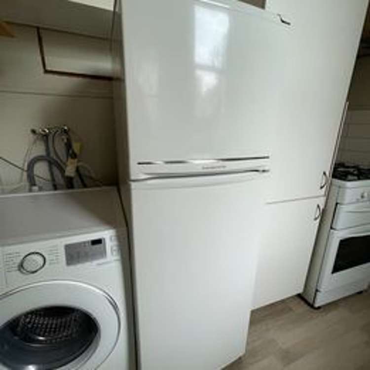 28 MacDonald Cres - flat 2 (ground floor)/28 MacDonald Crescent Te Aro_14