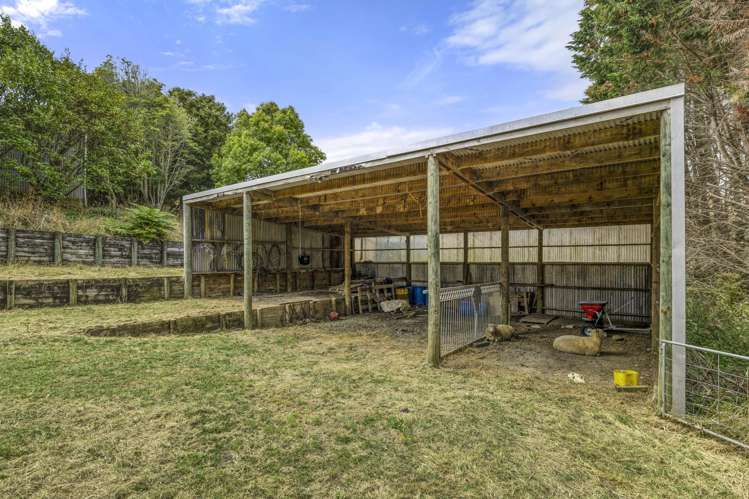 1007 Old Mountain Road Raglan_8