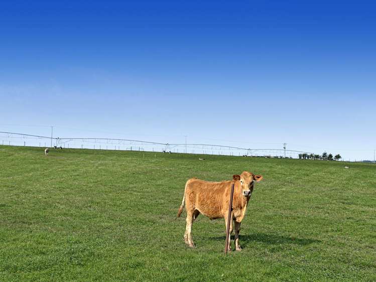 Round Hill Road Five Forks and Surrounds_5