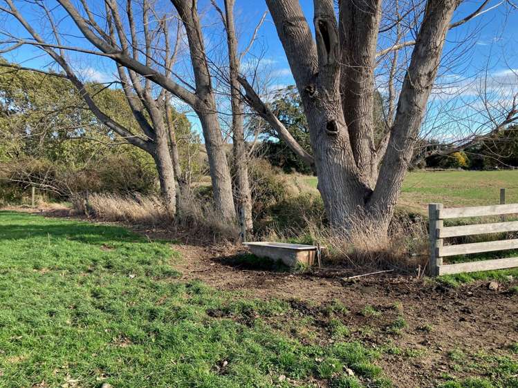 639 Beaconsfield Valley Road Waituna West_9